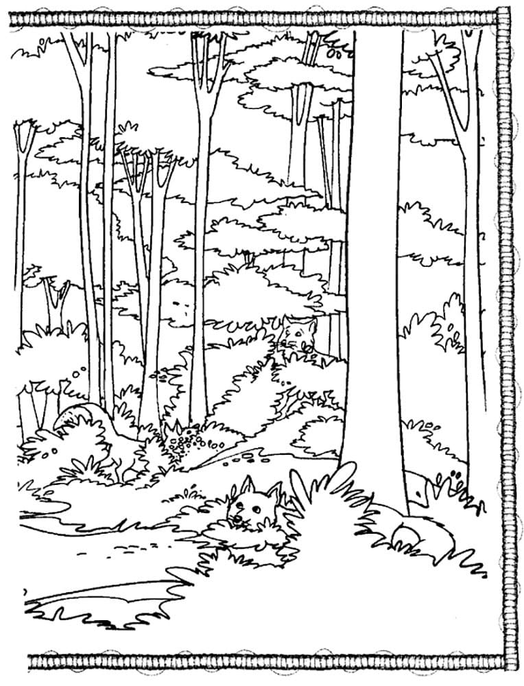 Raskrasil.com-Forest-Coloring-Pages-73
