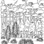 Raskrasil.com-Forest-Coloring-Pages-77