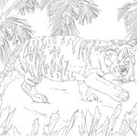 Raskrasil.com-Forest-Coloring-Pages-8