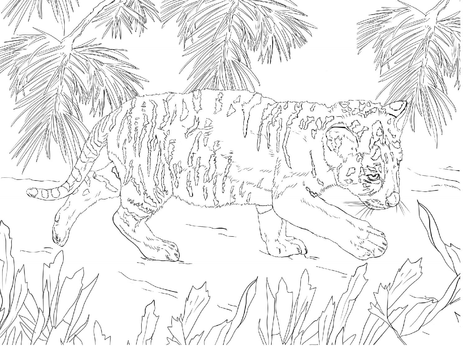 Raskrasil.com-Forest-Coloring-Pages-8