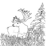 Raskrasil.com-Forest-Coloring-Pages-81