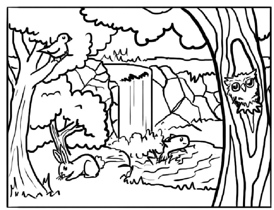Raskrasil.com-Forest-Coloring-Pages-82