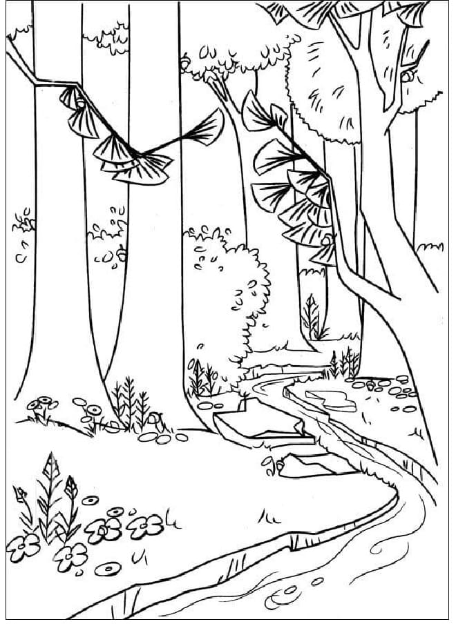 Raskrasil.com-Forest-Coloring-Pages-85