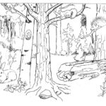 Raskrasil.com-Forest-Coloring-Pages-86