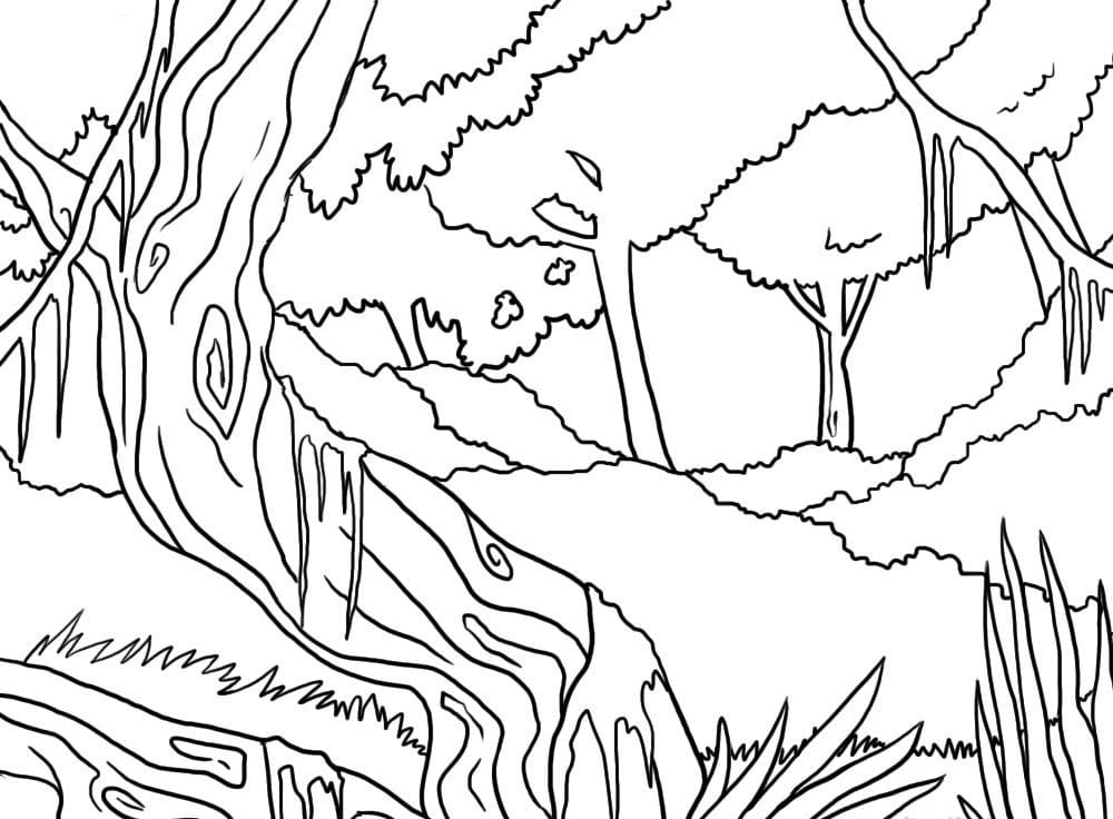 Raskrasil.com-Forest-Coloring-Pages-88