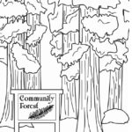 Raskrasil.com-Forest-Coloring-Pages-91