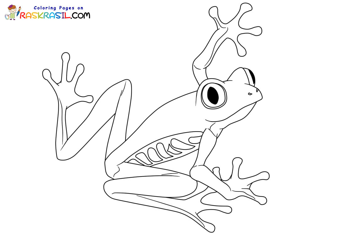 Raskrasil.com-Frog-New-Coloring-Pages-10