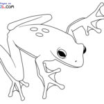 Raskrasil.com-Frog-New-Coloring-Pages-7
