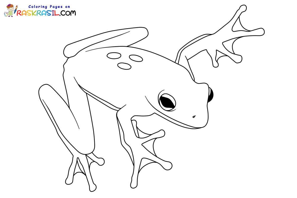 Raskrasil.com-Frog-New-Coloring-Pages-7