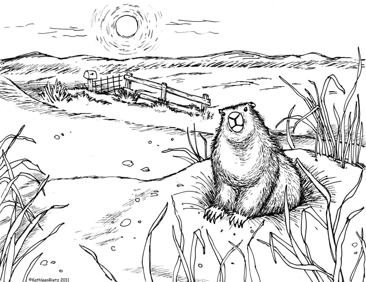 Raskrasil.com-Groundhog-Day-Coloring-Pages-1