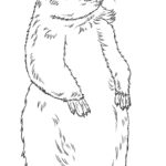 Raskrasil.com-Groundhog-Day-Coloring-Pages-17