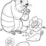 Raskrasil.com-Groundhog-Day-Coloring-Pages-2