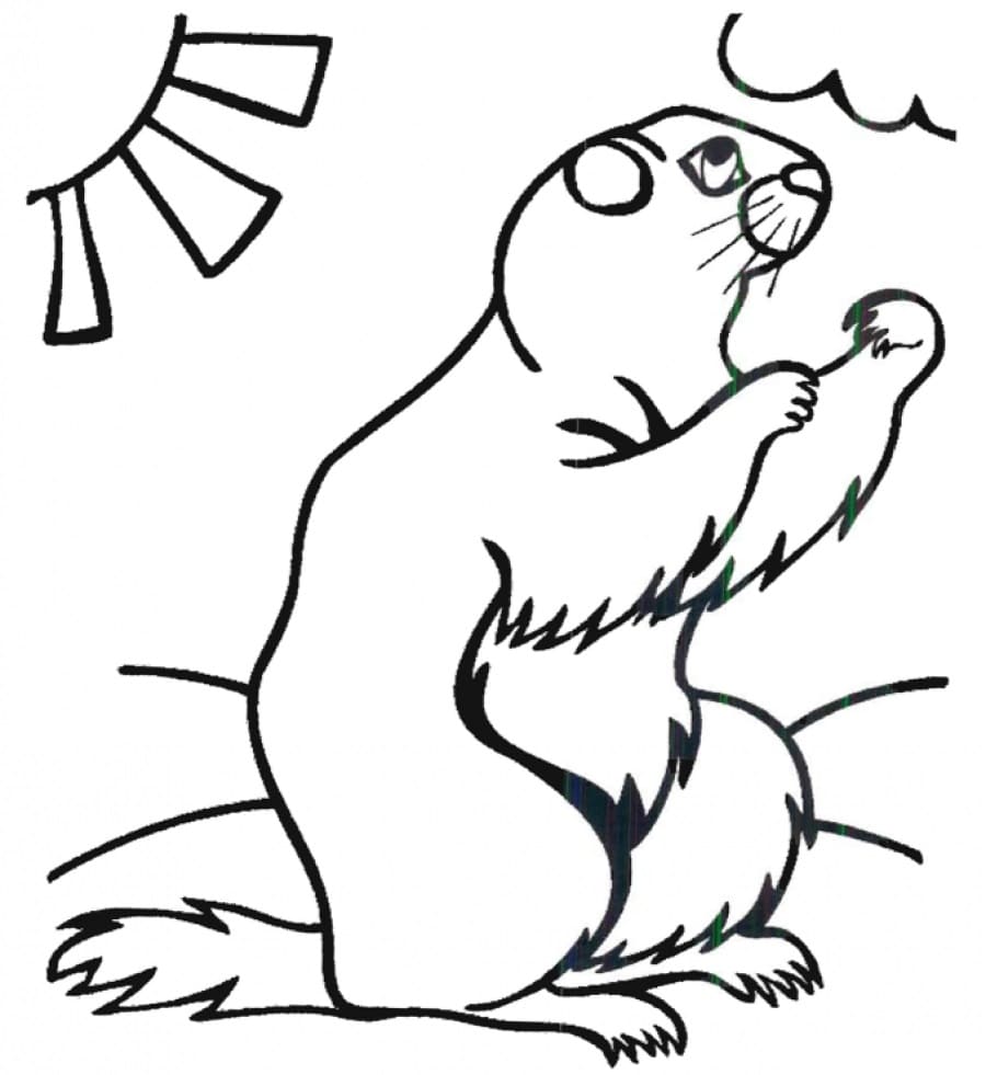 Raskrasil.com-Groundhog-Day-Coloring-Pages-22