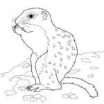 Raskrasil.com-Groundhog-Day-Coloring-Pages-41