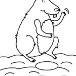 Raskrasil.com-Groundhog-Day-Coloring-Pages-49