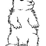 Raskrasil.com-Groundhog-Day-Coloring-Pages-51