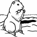 Raskrasil.com-Groundhog-Day-Coloring-Pages-58