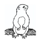 Raskrasil.com-Groundhog-Day-Coloring-Pages-61
