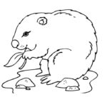 Raskrasil.com-Groundhog-Day-Coloring-Pages-62