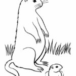 Raskrasil.com-Groundhog-Day-Coloring-Pages-66