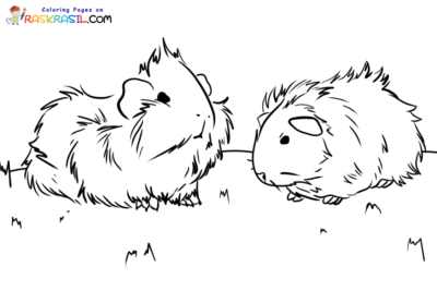 Guinea Pig Coloring Pages