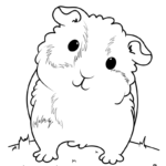 Raskrasil.com-New-Coloring-Pages-Guinea-Pig-4