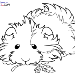 Raskrasil.com-New-Coloring-Pages-Guinea-Pig-8