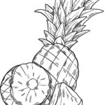 Raskrasil.com-Pineapple-Coloring-Pages-110