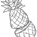 Raskrasil.com-Pineapple-Coloring-Pages-2