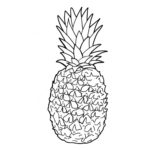 Raskrasil.com-Pineapple-Coloring-Pages-27