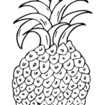 Raskrasil.com-Pineapple-Coloring-Pages-29