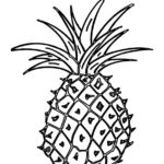 Previous Attachment