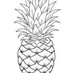 Raskrasil.com-Pineapple-Coloring-Pages-33