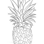 Raskrasil.com-Pineapple-Coloring-Pages-34