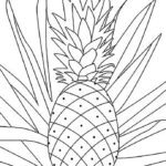 Previous Attachment