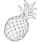 Raskrasil.com-Pineapple-Coloring-Pages-45
