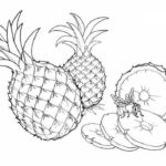 Raskrasil.com-Pineapple-Coloring-Pages-46