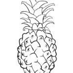 Raskrasil.com-Pineapple-Coloring-Pages-47