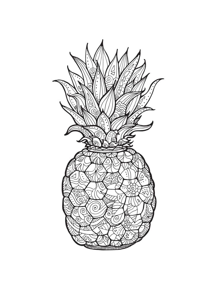 Raskrasil.com-Pineapple-Coloring-Pages-53