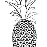 Raskrasil.com-Pineapple-Coloring-Pages-56