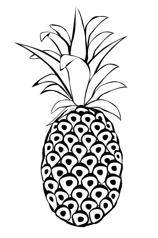 Raskrasil.com-Pineapple-Coloring-Pages-56