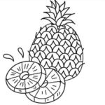 Raskrasil.com-Pineapple-Coloring-Pages-61