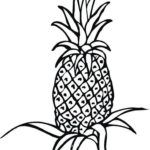 Raskrasil.com-Pineapple-Coloring-Pages-62