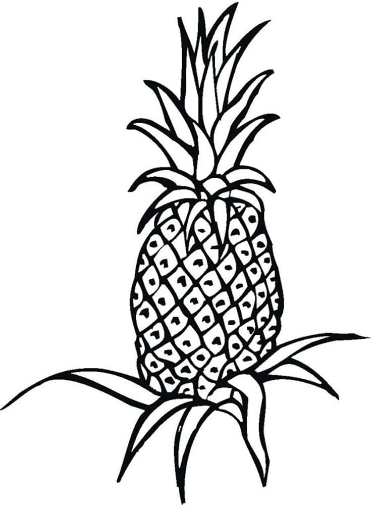 Raskrasil.com-Pineapple-Coloring-Pages-62