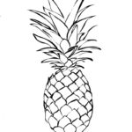 Raskrasil.com-Pineapple-Coloring-Pages-63