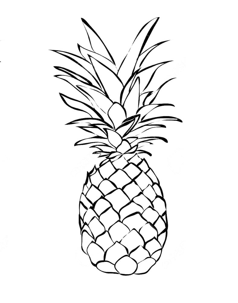 Raskrasil.com-Pineapple-Coloring-Pages-63