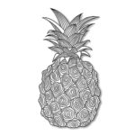 Raskrasil.com-Pineapple-Coloring-Pages-64