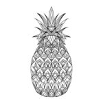 Raskrasil.com-Pineapple-Coloring-Pages-65