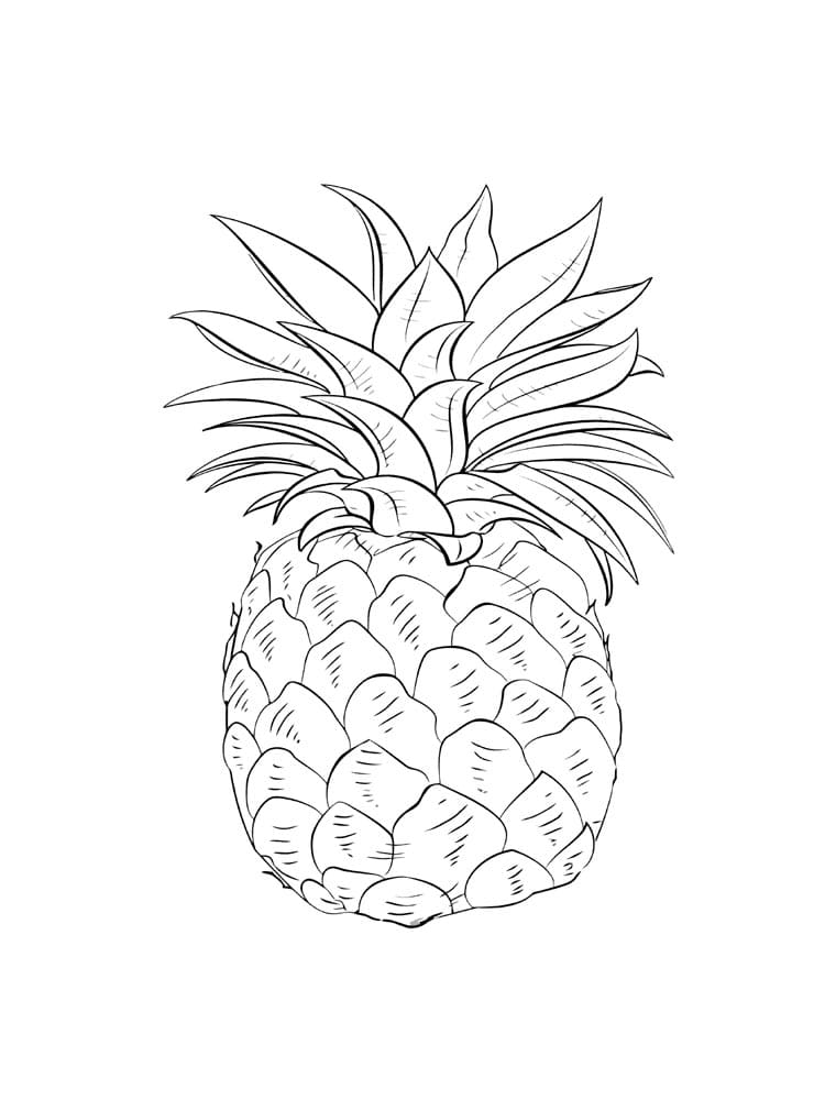 Raskrasil.com-Pineapple-Coloring-Pages-69