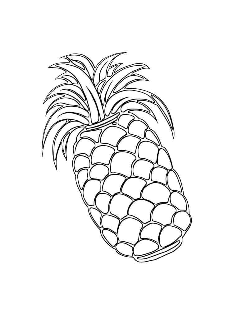 Raskrasil.com-Pineapple-Coloring-Pages-72